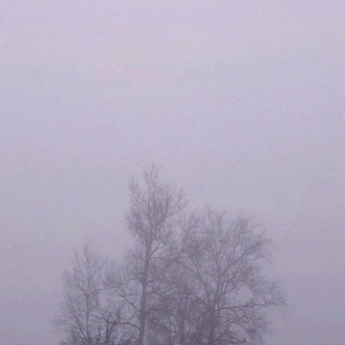 You Built the Altar, You Lit the Leaves